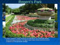Regent’s Park Летом в Риджент-Парке проводятся спектакли под открытым небом, ...