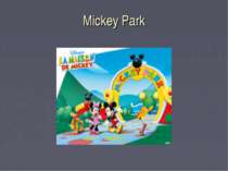Mickey Park
