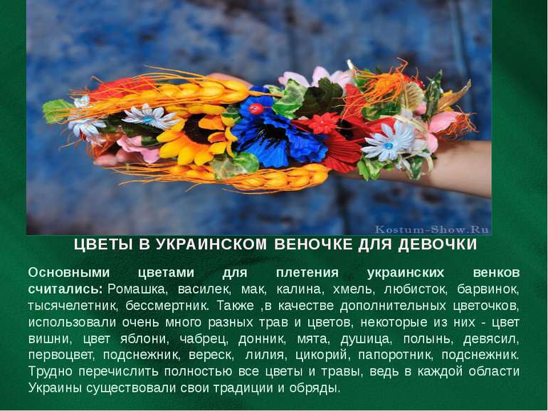 Основными цветами для плетения украинских венков считались: Ромашка, василек,...
