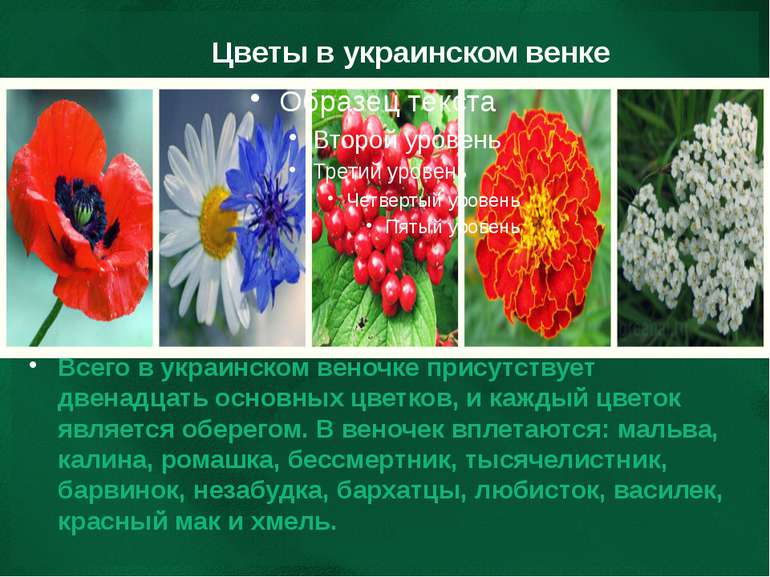 Цветы в украинском венке Всего в украинском веночке присутствует двенадцать о...