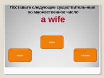 wives wifes a wives Поставьте следующие существитель ные во множественное чис...