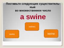 swine swins swines Поставьте следующие существитель ные во множественное числ...