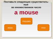 mice mouses mise Поставьте следующие существитель ные во множественное число ...