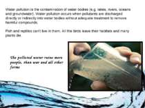 Water pollution is the contamination of water bodies (e.g. lakes, rivers, oce...