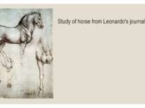 Study of horse from Leonardo's journal
