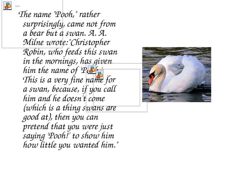 The name "Pooh," rather surprisingly, came not from a bear but a swan. A. A. ...
