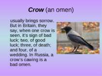 Crow (an omen) usually brings sorrow. But in Britain, they say, when one crow...