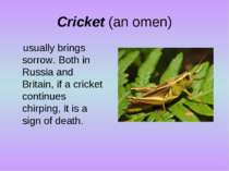 Cricket (an omen) usually brings sorrow. Both in Russia and Britain, if a cri...