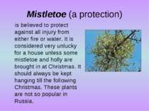 Mistletoe (a protection) is believed to protect against all injury from eithe...