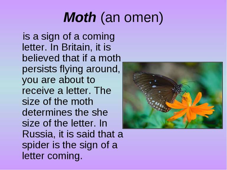 Moth (an omen) is a sign of a coming letter. In Britain, it is believed that ...