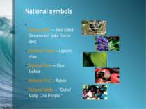National symbols National Bird — Red billed Streamertail  (aka Doctor Bird) N...