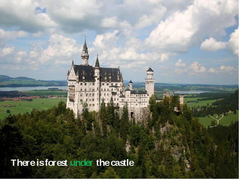 There is forest under the castle