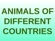 ANIMALS OF DIFFERENT COUNTRIES