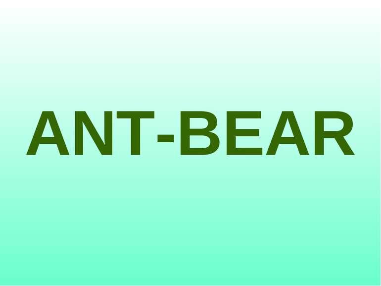 ANT-BEAR