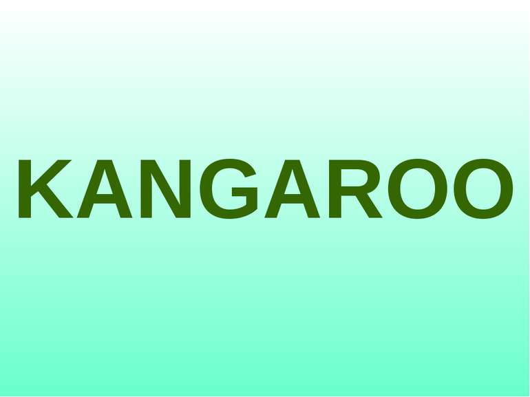 KANGAROO