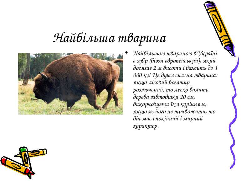 Найбільша тварина Найбільшою твариною в Україні є зубр (бізон європейський), ...