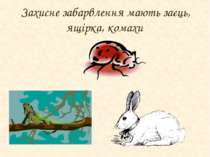 Захисне забарвлення мають заєць, ящірка, комахи   