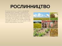 В Черкаській області станом на 02.08.2012 збирання ранніх зернових і зернобоб...