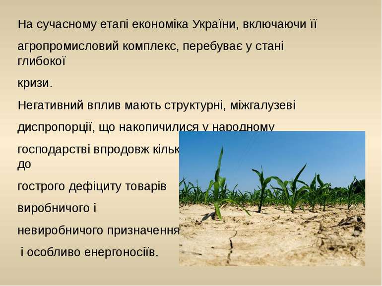 На сучасному етапі економіка України, включаючи її агропромисловий комплекс, ...