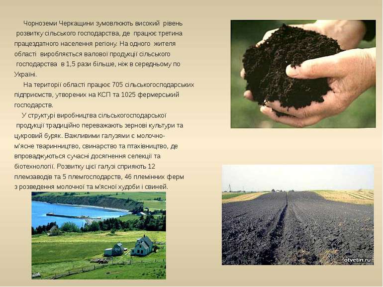 Чорноземи Черкащини зумовлюють високий рівень розвитку сільського господарств...