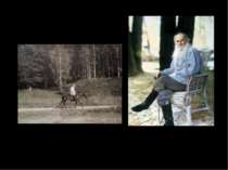 Л.Н. Толстой. Единственный цветной фотопортрет писателя, явившийся и первым ц...