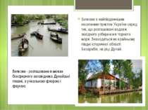 Вилкове є найпівденнішим населеним пунктом України серед тих, що розташовані ...