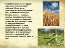 Наибольшее значение среди зерновых культур имеет пшеница. На ее долю приходит...