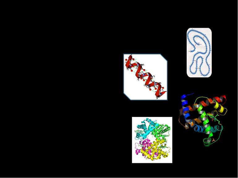 Будова білка Будова молекул білків дуже складна. Розрізняють: Первинну структ...