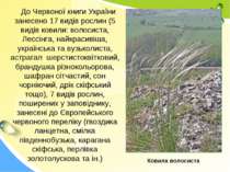До Червоної книги України занесено 17 видів рослин (5 видів ковили: волосиста...