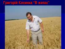 Григорій Косинка “В житах”