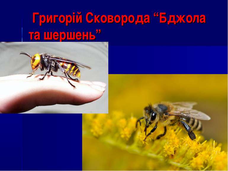 Григорій Сковорода “Бджола та шершень”