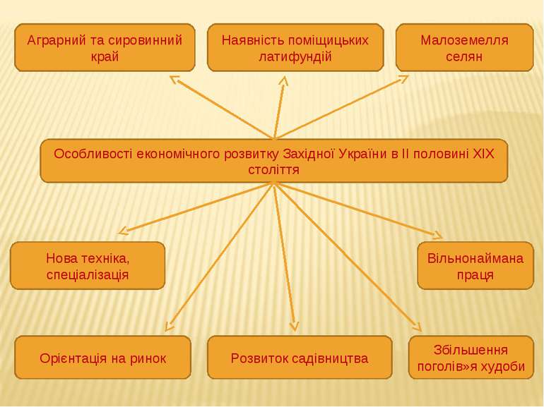 Особливості економічного розвитку Західної України в ІІ половині ХІХ століття...