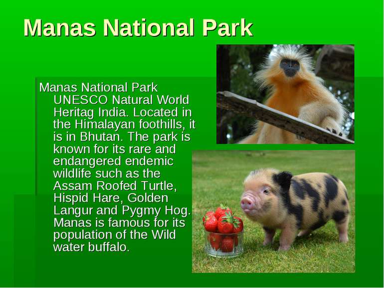 Manas National Park Manas National Park UNESCO Natural World Heritag India. L...
