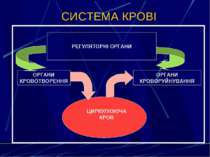 СИСТЕМА КРОВІ РЕГУЛЯТОРНІ ОРГАНИ ЦИРКУЛЮЮЧА КРОВ ОРГАНИ КРОВОТВОРЕННЯ ОРГАНИ ...