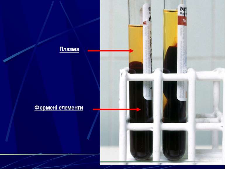 Плазма Формені елементи