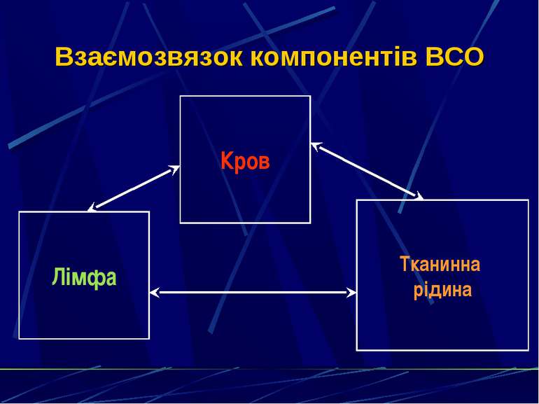 Взаємозвязок компонентів ВСО