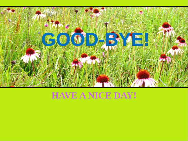 GOOD-BYE! HAVE A NICE DAY!
