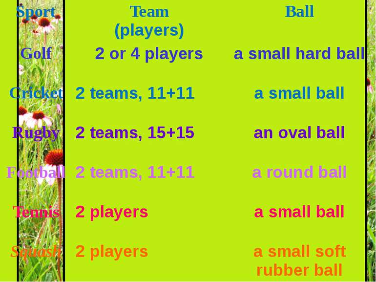 Sport Team (players) Ball Golf 2 or 4 players a small hard ball Cricket 2 tea...