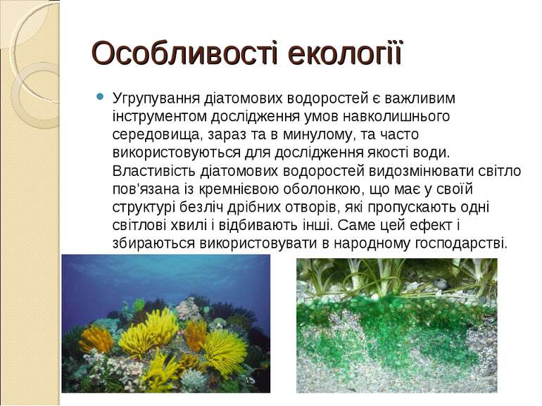 Особливості екології Угрупування діатомових водоростей є важливим інструменто...