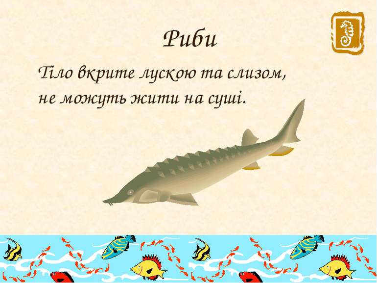 Риби Тіло вкрите лускою та слизом, не можуть жити на суші.