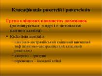 Класифікація рикетсій і рикетсіозів Група кліщових плямистих лихоманок (розмі...