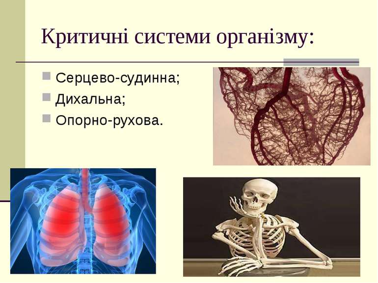Критичні системи організму: Серцево-судинна; Дихальна; Опорно-рухова.