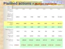 Planned actions – Budget regulation