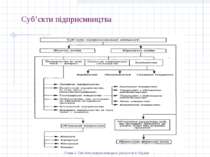 Суб’єкти підприємництва Схема 1. Суб’єкти підприємницької діяльності в Україні