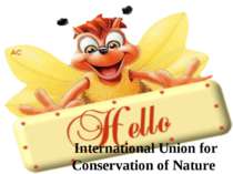 nternational Union for Conservation of Nature : створення і розвиток