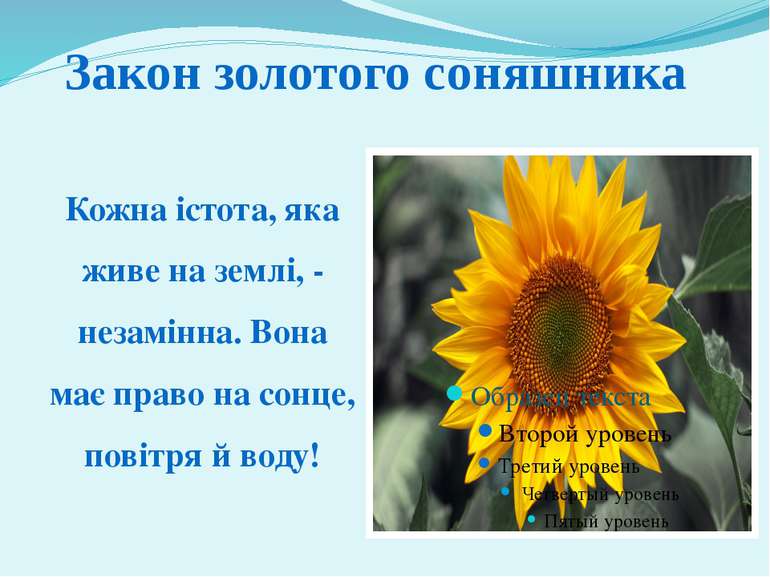 Кожна істота, яка живе на землі, - незамінна. Вона має право на сонце, повітр...