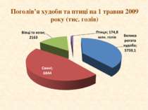 Поголів’я худоби та птиці на 1 травня 2009 року (тис. голів)