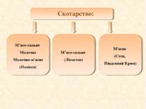 Скотарство: М’ясо-сальне Молочне Молочно-м'ясне (Полісся) М’ясо-сальне (Лісос...