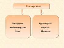 Вівчарство: Тонкорунне, напівтонкорунне (Степ) Грубошерсте, шерстне (Карпати)