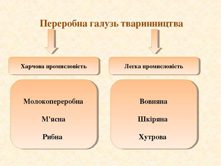 Переробна галузь тваринництва Легка промисловість Харчова промисловість Молок...